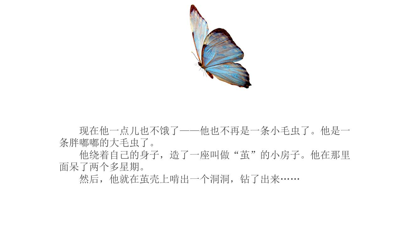 故事绘本 (16).pptx